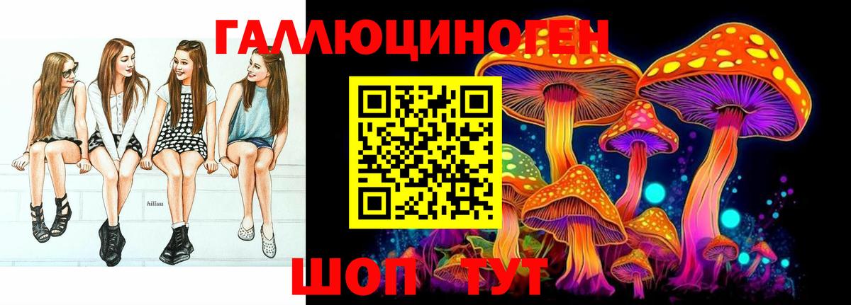 Псилоцибиновые грибы GOLDEN TEACHER Абинск
